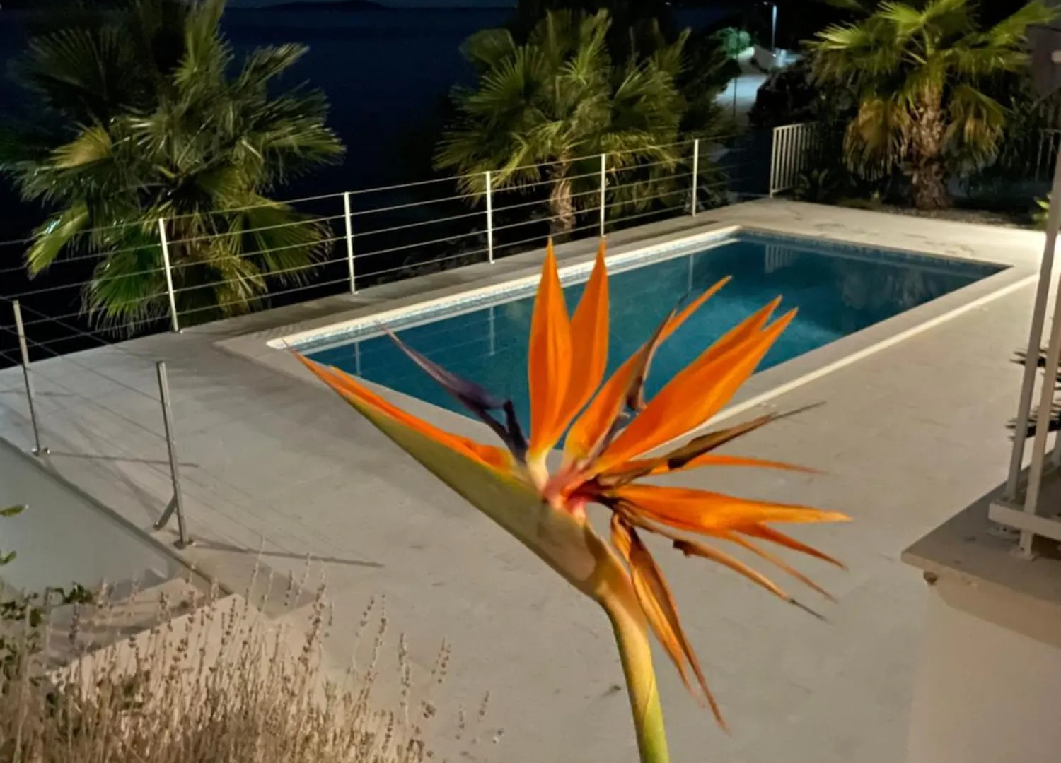 Beachfront Villa Leonardo With Pool Traù